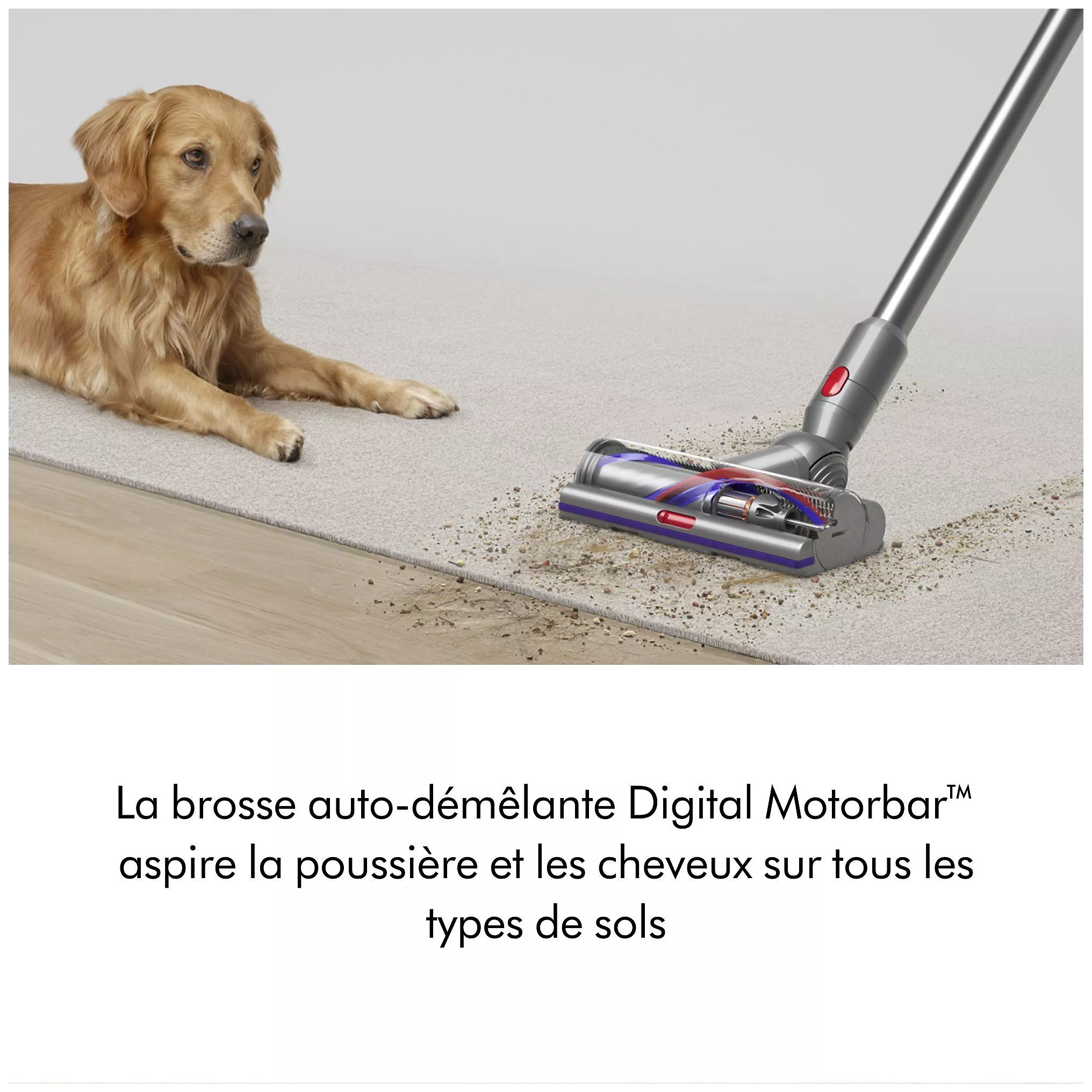 Aspirateur sans-fil Dyson V15 Detect™ Absolute (jaune/nickel)